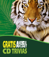 Trivia Animal Planet